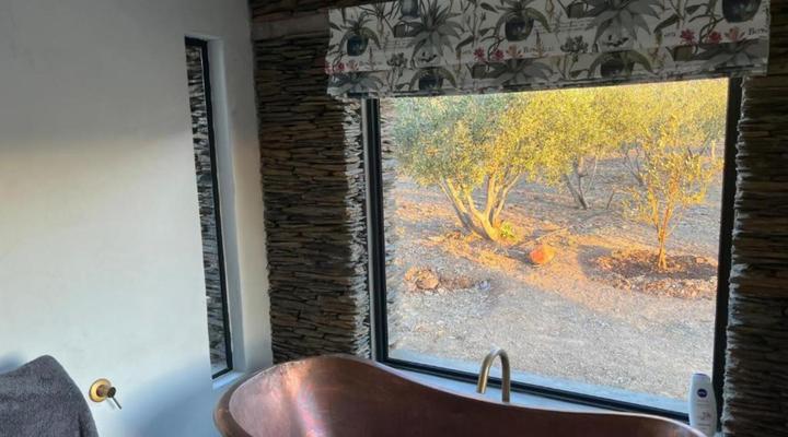 Altevrede Olive Farm