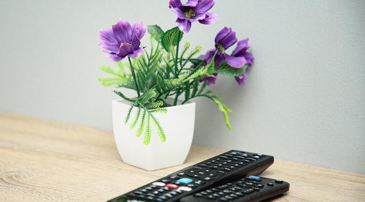 Bokwe Guesthouse (Cofimvaba)