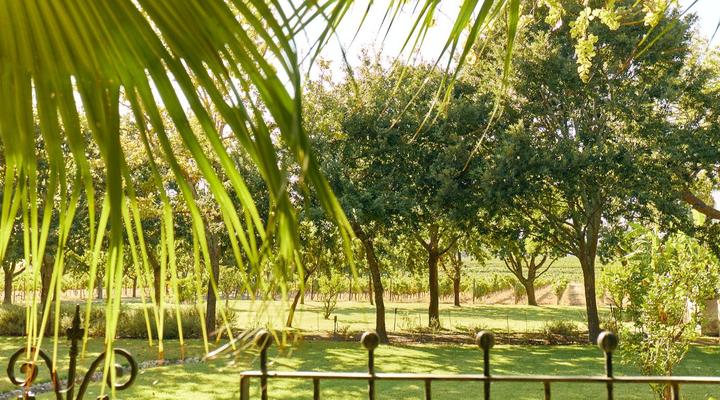 The Neighbour's Farm Homestead