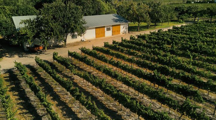 The Neighbour's Farm Homestead