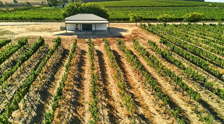 The Neighbour's Farm Homestead