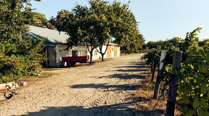 The Neighbour's Farm Homestead