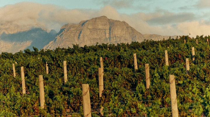 The Neighbour's Farm Homestead