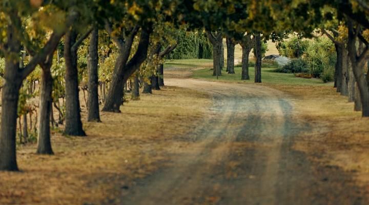 The Neighbour's Farm Homestead