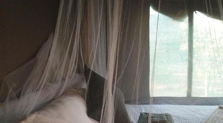 Shanatsi Safari Lodge - Kruger