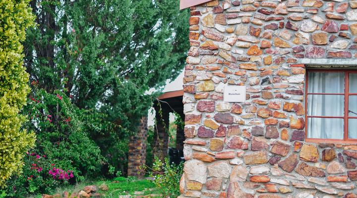 Gifberg Holiday Farm