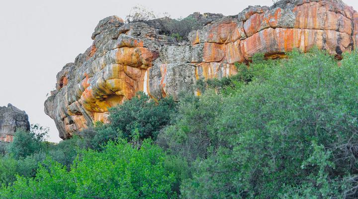 Gifberg Holiday Farm