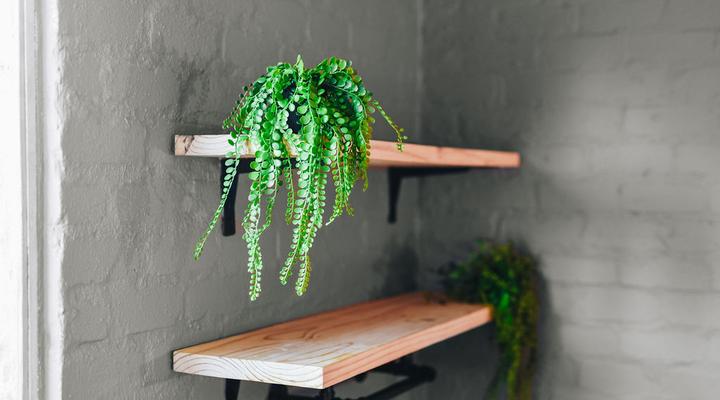 Gifberg Holiday Farm