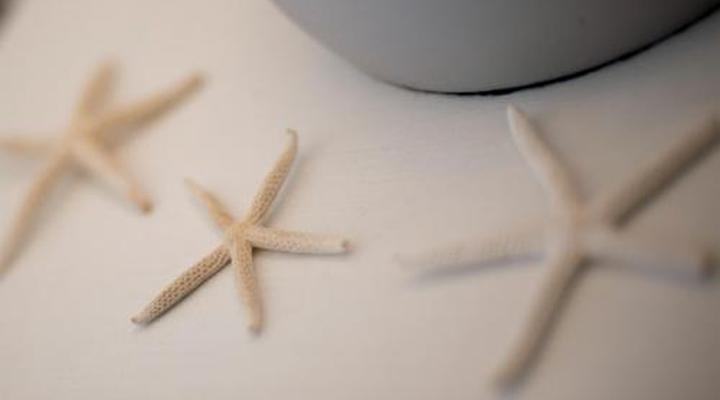 Thanda Vista Bed & Breakfast