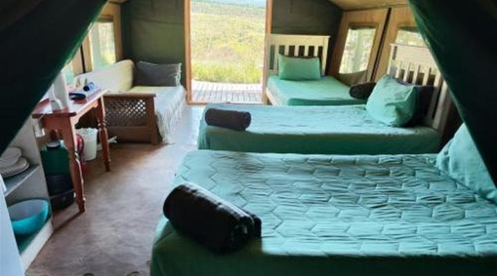 Mac Mac Forest Retreat