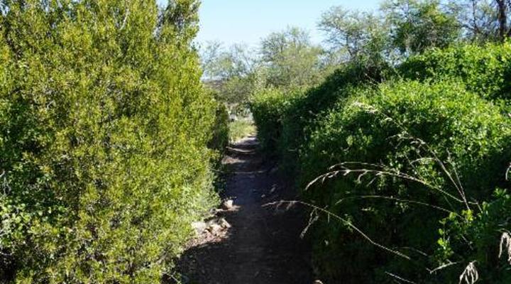 Rietfontein Guest Farm