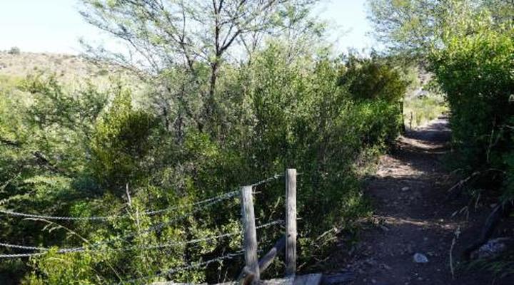 Rietfontein Guest Farm