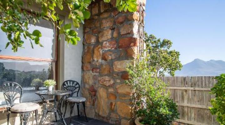 African Violet Guest Suites