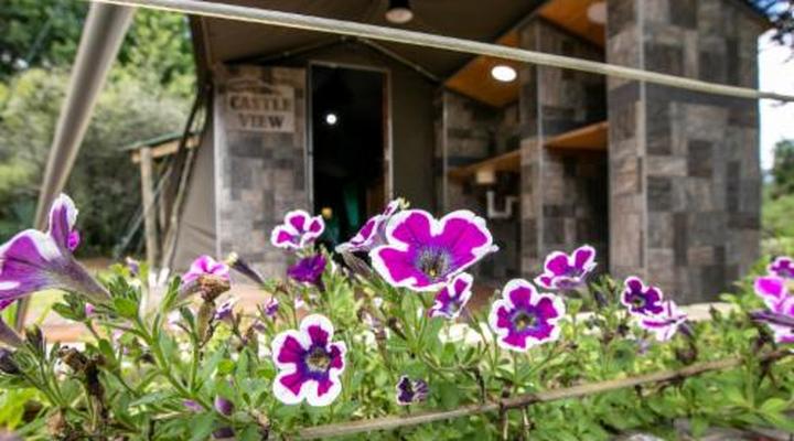 The Old Hatchery Mountain Retreat & Waterfall Restaurant & Pub