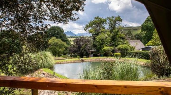 The Old Hatchery Mountain Retreat & Waterfall Restaurant & Pub