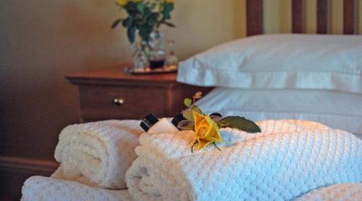 Serendipity Wilderness