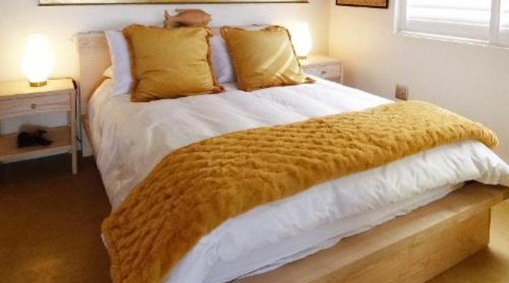 Dolphin Inn Guest House