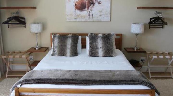 Dolphin Inn Guest House