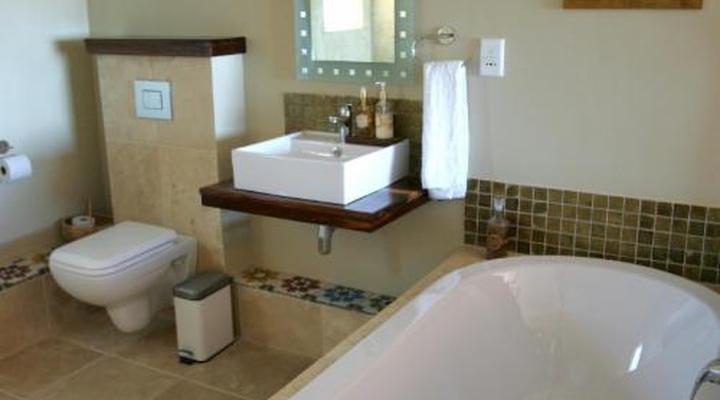 Dolphin Inn Guest House