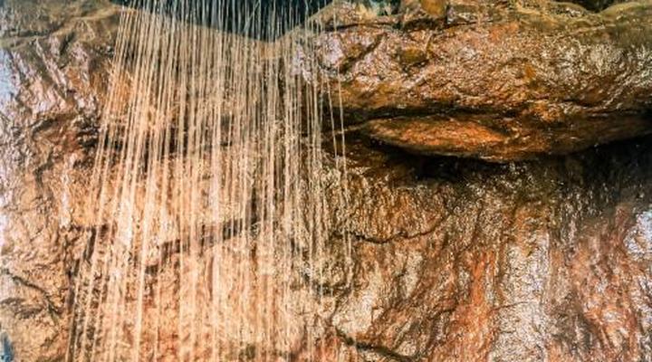 Elephants Footprint Lodge