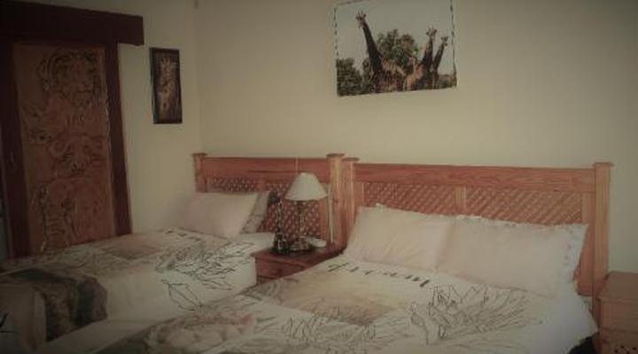 African Elephant Guest House