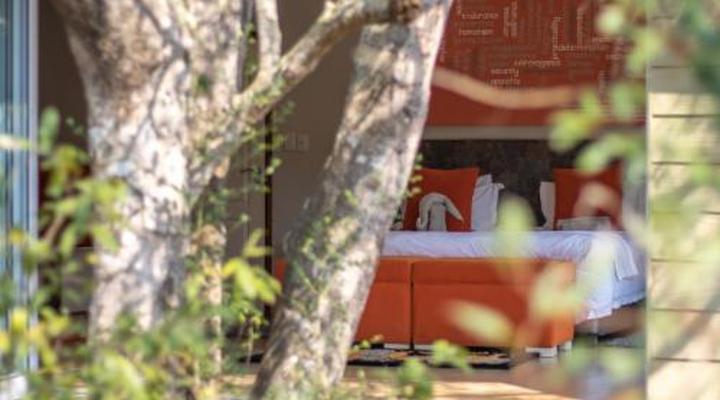 Bushwillow Collection