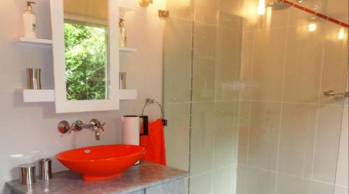 Bushwillow Collection