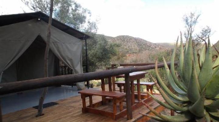 Old Mill Country Lodge, Working Ostrich Farm & Restaurant