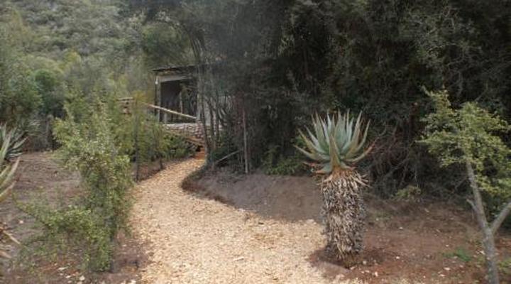 Old Mill Country Lodge, Working Ostrich Farm & Restaurant