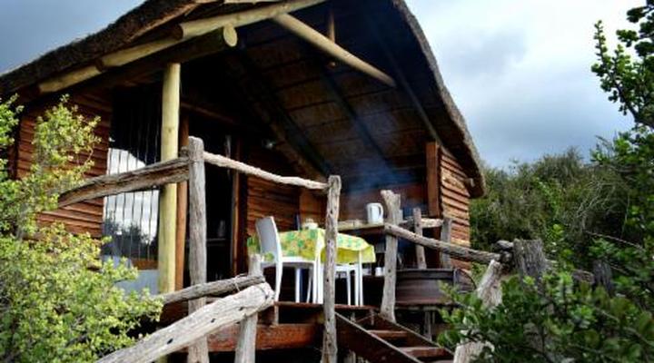 Addo Dung Beetle Guest Farm