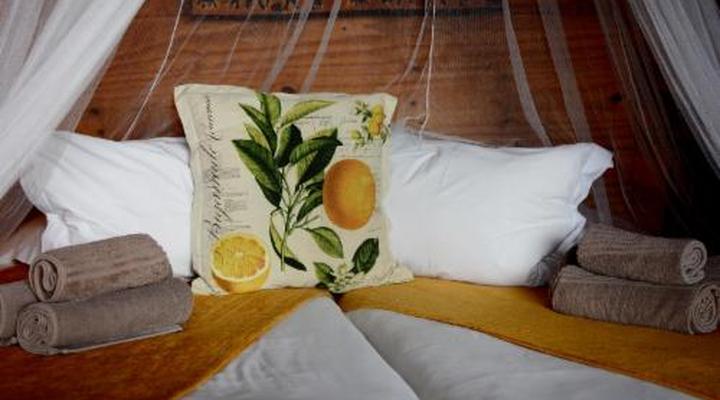 Addo Dung Beetle Guest Farm