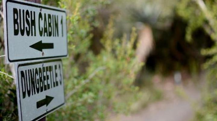Addo Dung Beetle Guest Farm