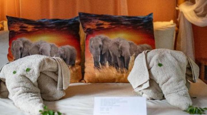 Thornhill Safari Lodge