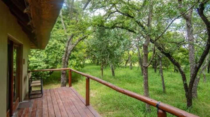 Thornhill Safari Lodge