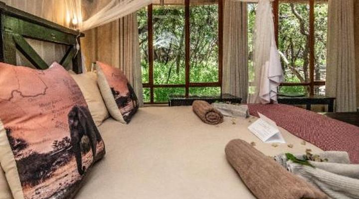 Thornhill Safari Lodge