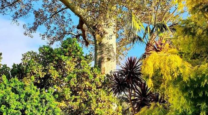 Riversong Guest House