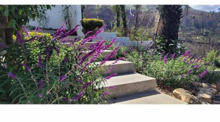 De Molen Guest House