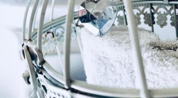 Sandra's Guest House