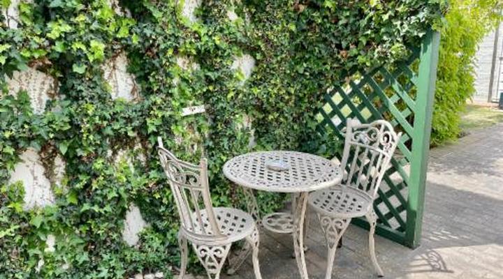 Sandra's Guest House