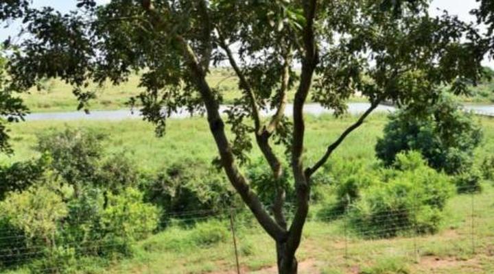 Elephant Walk Retreat