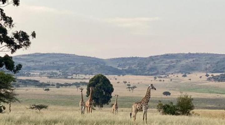 Bateleur Nature Reserve