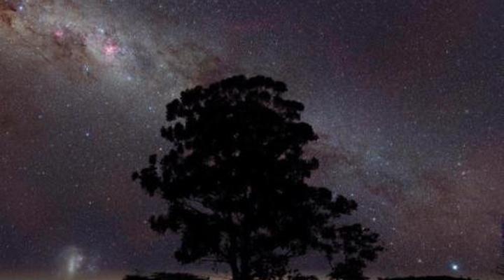 Bateleur Nature Reserve