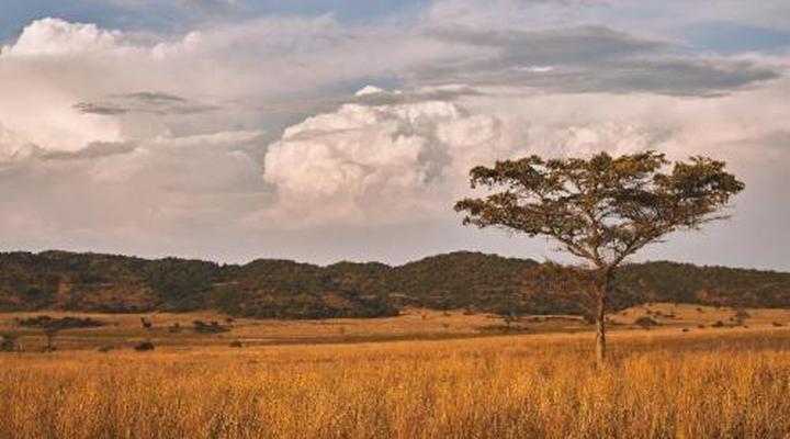 Bateleur Nature Reserve