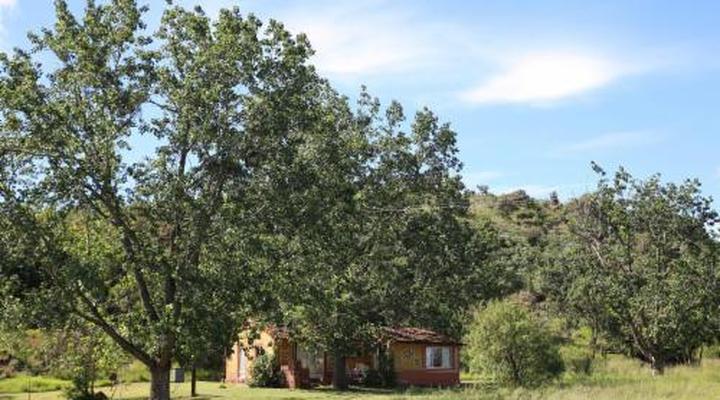 Bateleur Nature Reserve