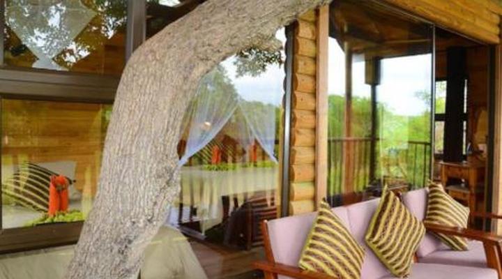 Pezulu Tree House Game Lodge