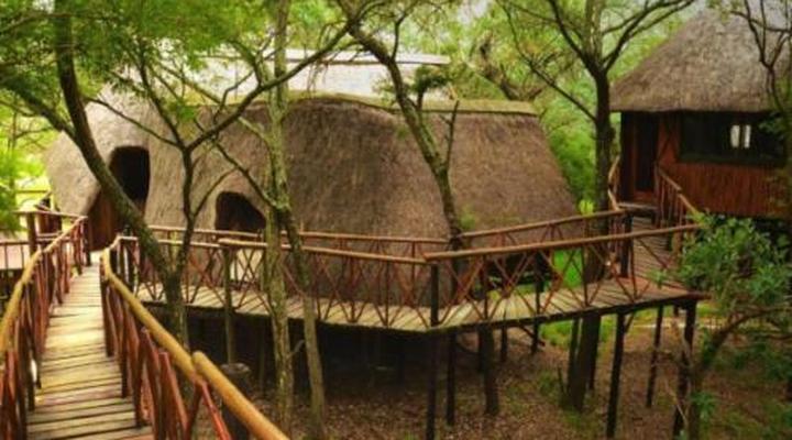 Pezulu Tree House Game Lodge