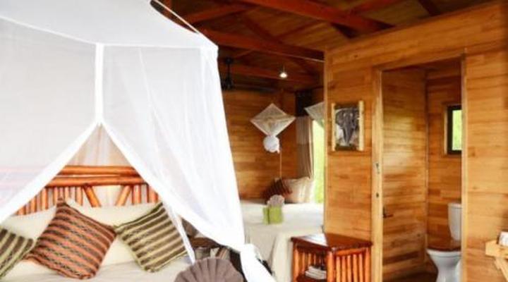 Pezulu Tree House Game Lodge