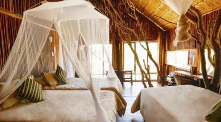Pezulu Tree House Game Lodge