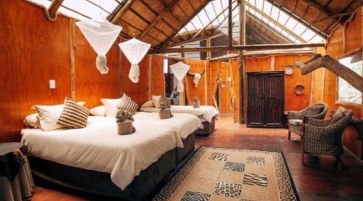 Pezulu Tree House Game Lodge