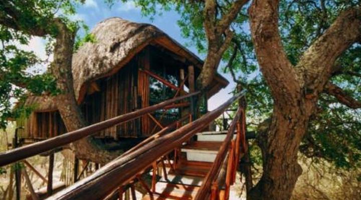Pezulu Tree House Game Lodge